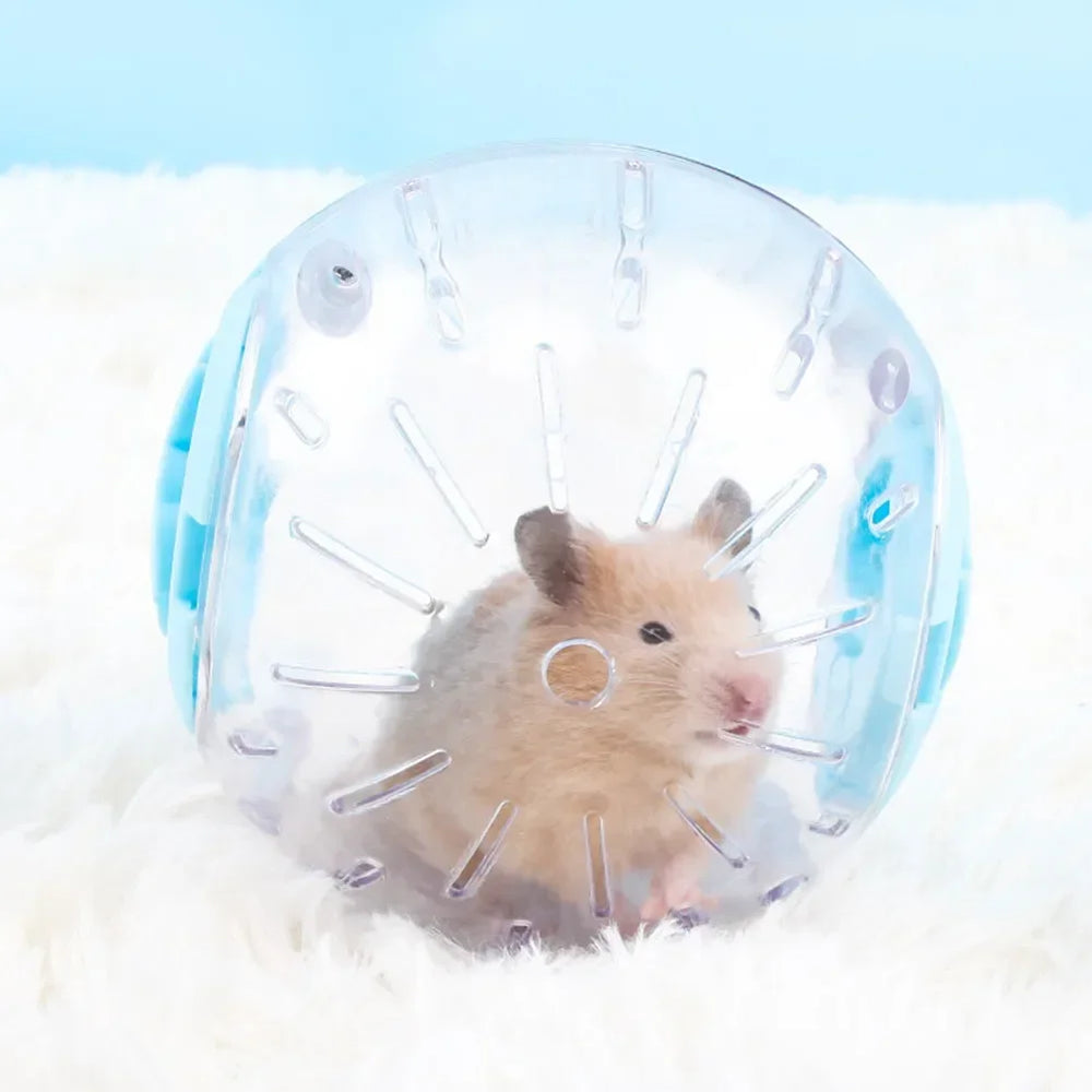 Hamster jogging ball · Photo 3