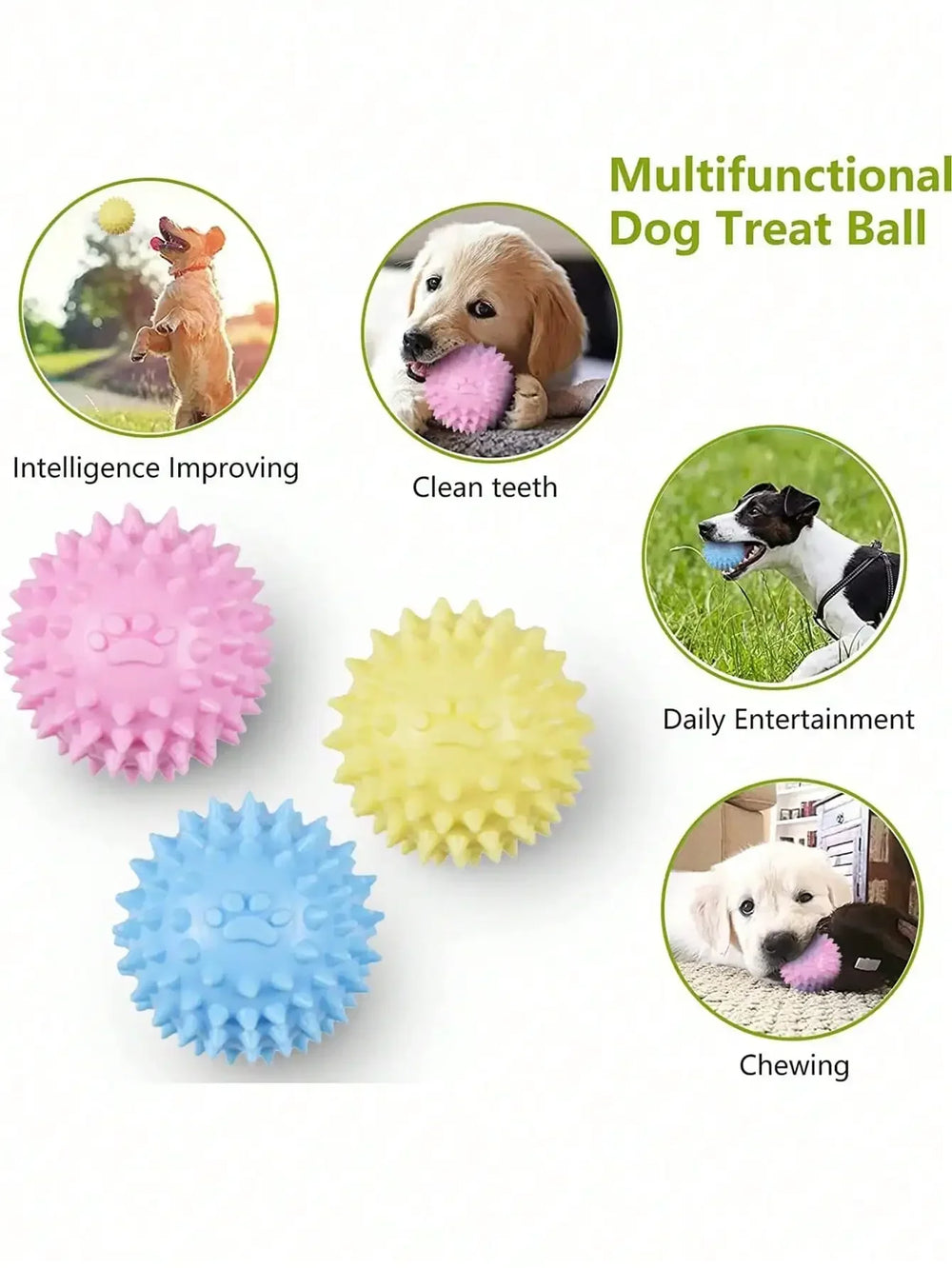 Spiky bone & ball · Photo 2