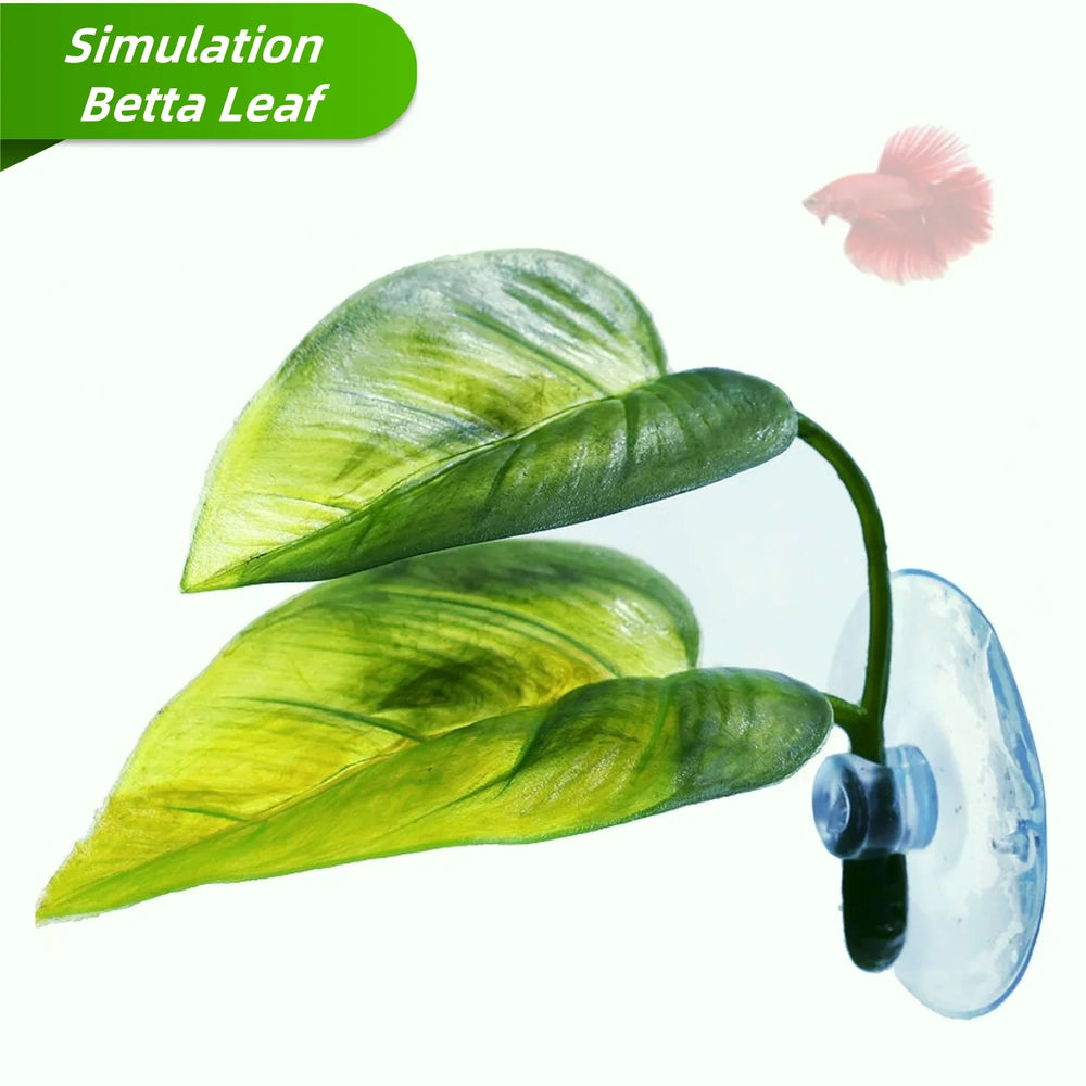 Betta leaf hammock · Photo 1