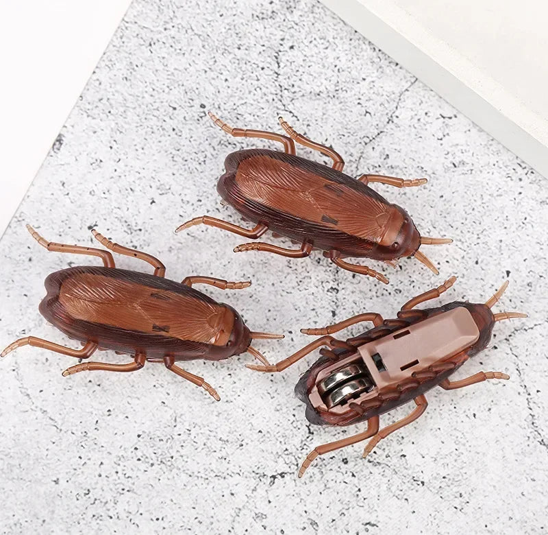 Wind-up cockroach · Photo 2