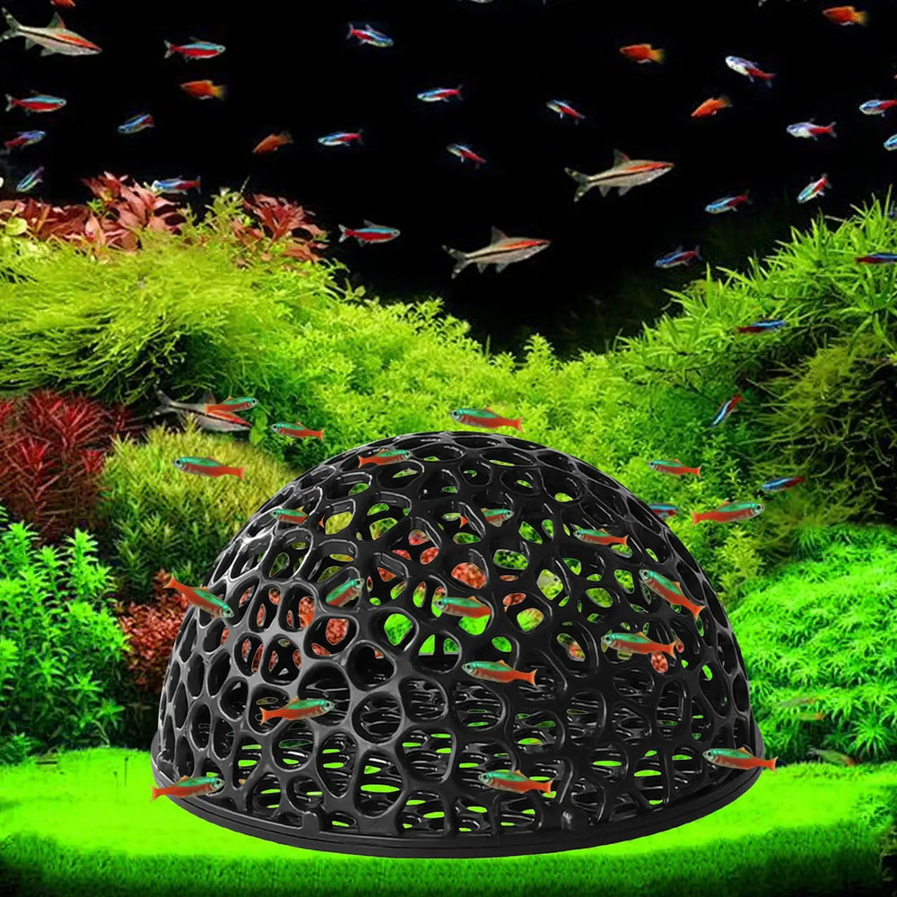 Shrimp cave · Photo 1
