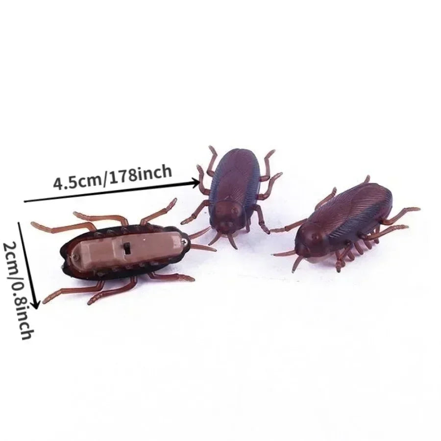 Wind-up cockroach · Photo 4