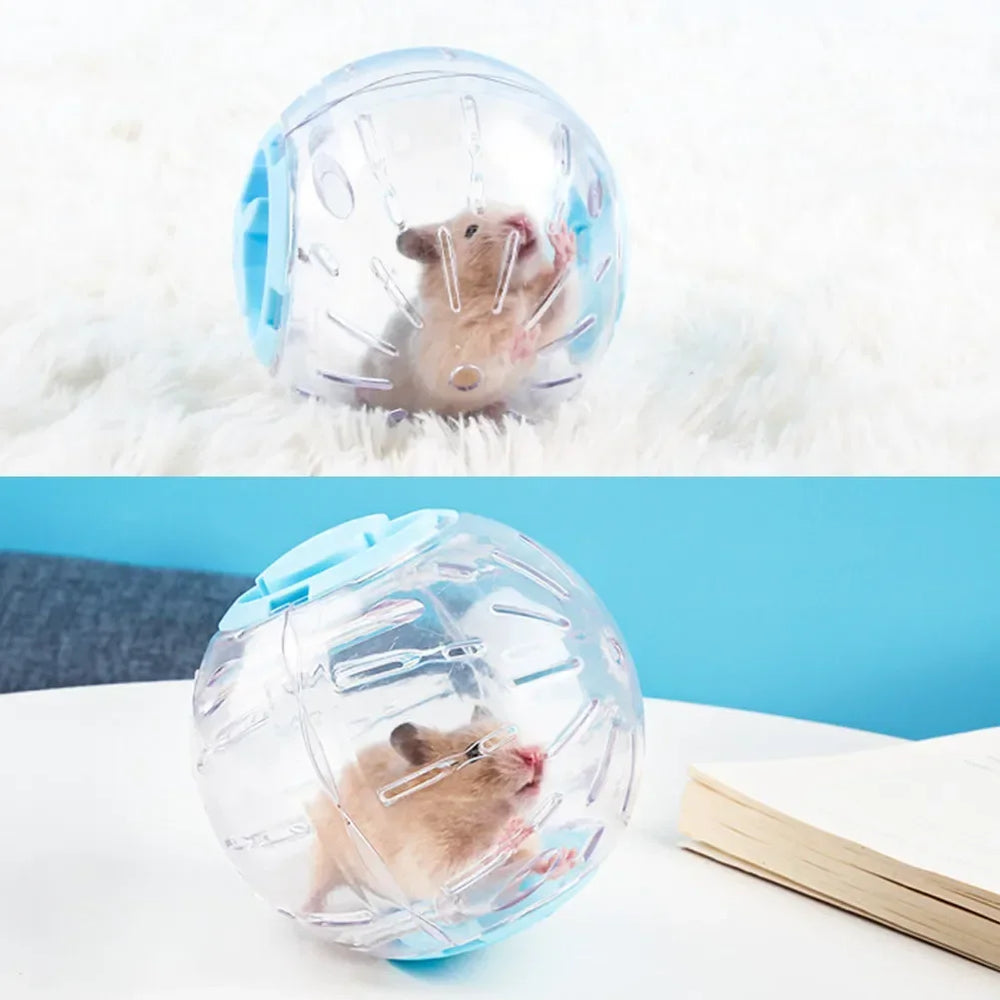 Hamster jogging ball · Photo 1