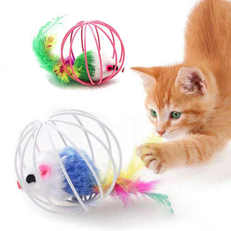 Mouse in a ball · Photo 1