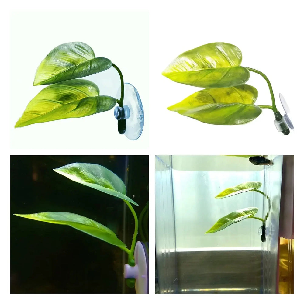 Betta leaf hammock · Photo 3
