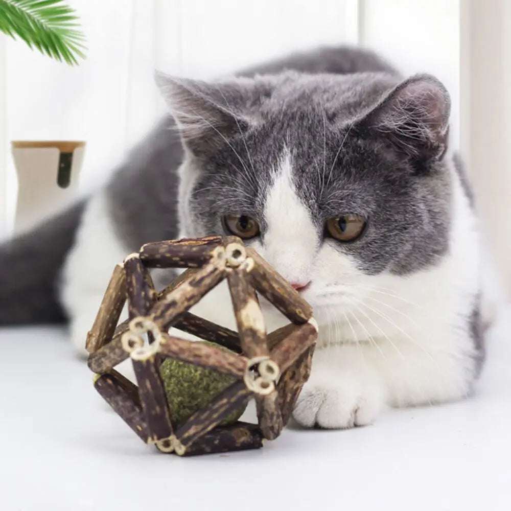 Catnip bell ball stick · Photo 1