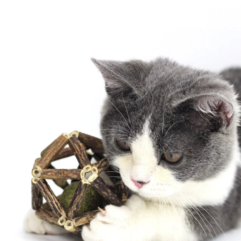 Catnip bell ball stick · Photo 2