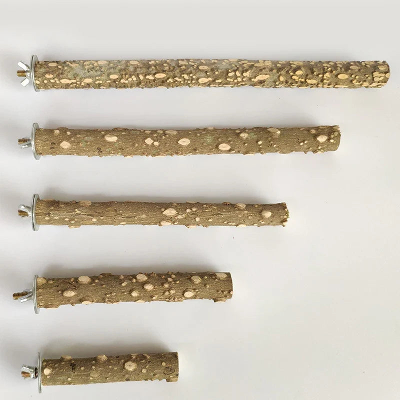 Raw wood branch perch · Photo 3