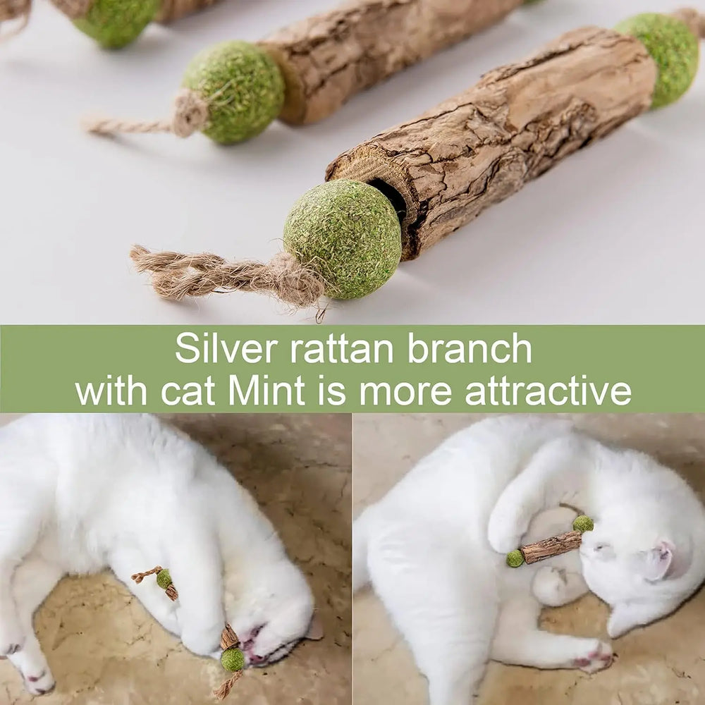Silvervine dental stick · Photo 3