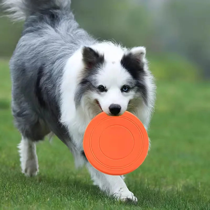 Soft rubber frisbee · Photo 3