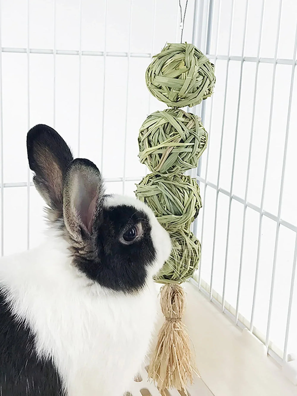 Grass ball on a string · Photo 1