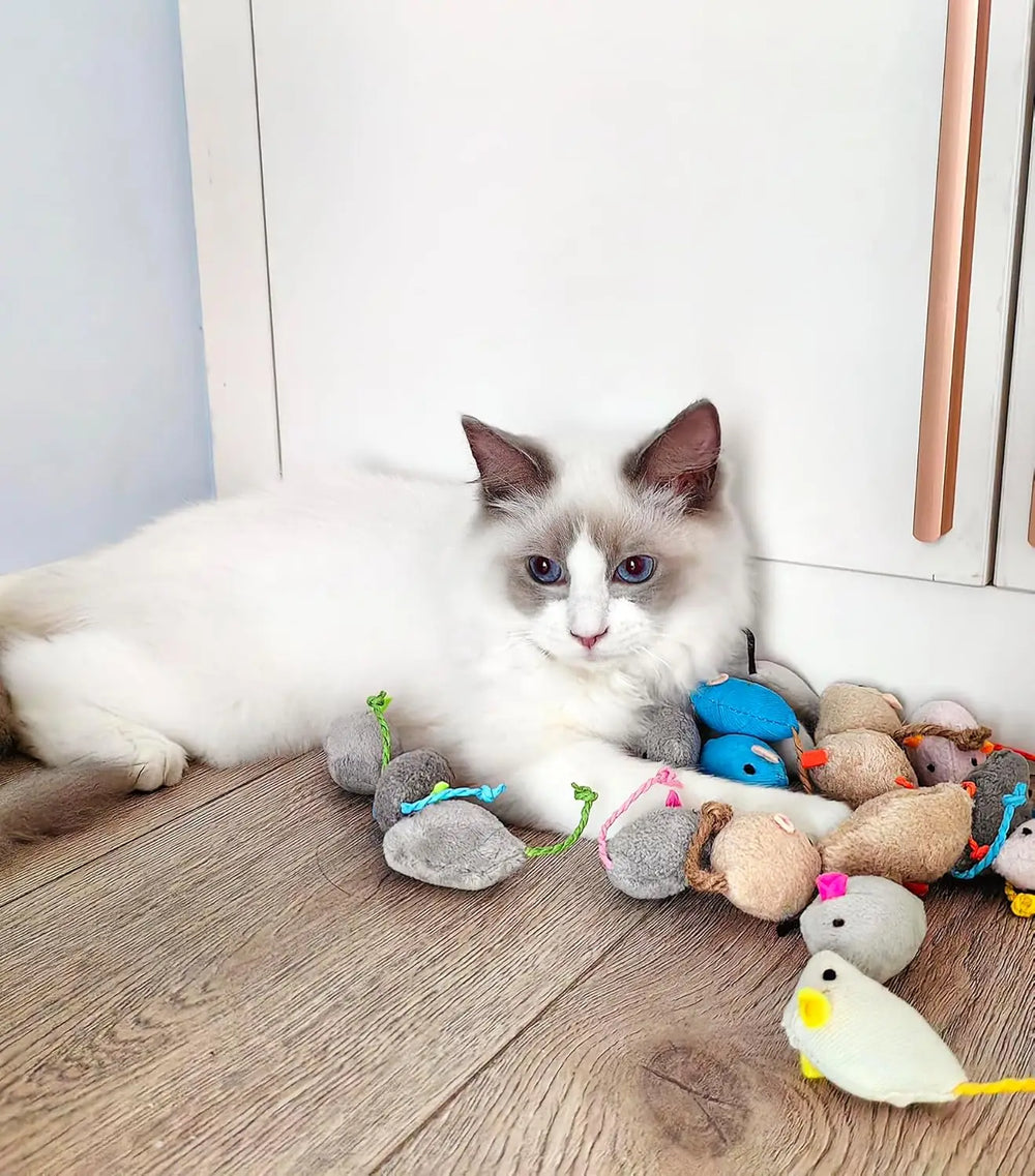 Catnip rattle mice · Photo 4
