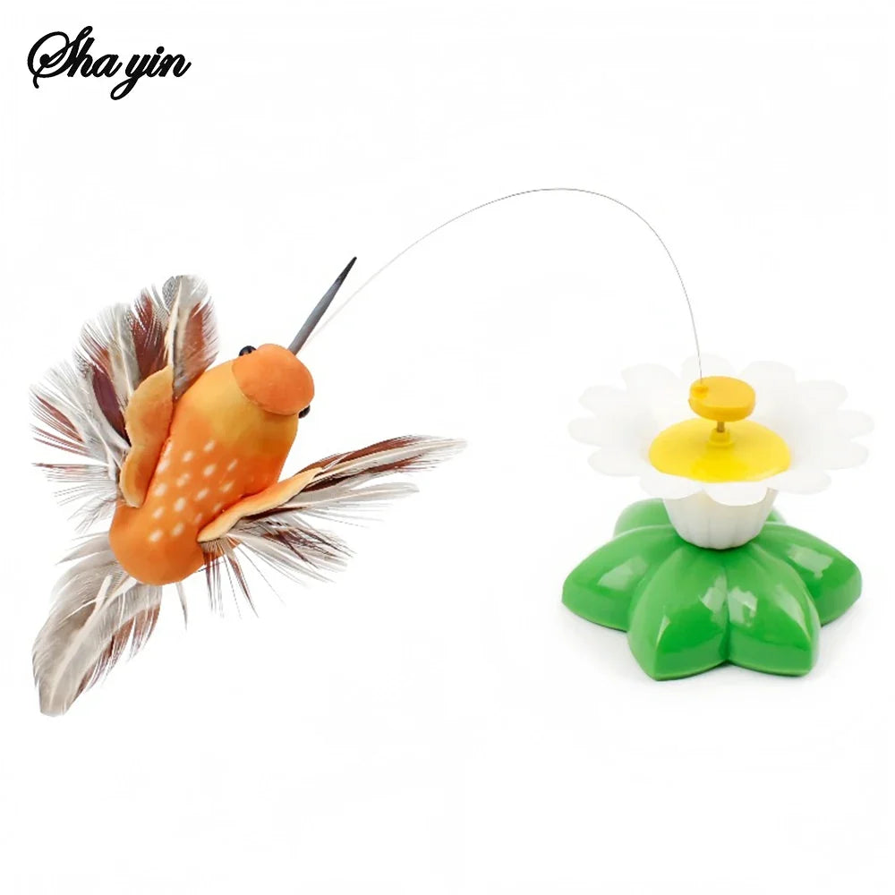 Spinning hummingbird · Photo 4