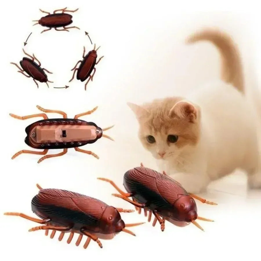 Wind-up cockroach · Photo 1