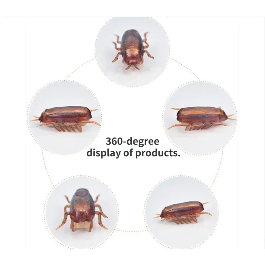Wind-up cockroach · Photo 3