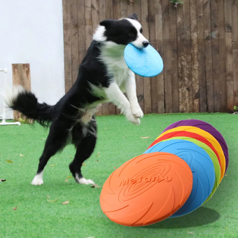 Bite-proof flying disc · Photo 1