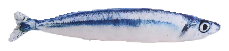 Plush catnip fish