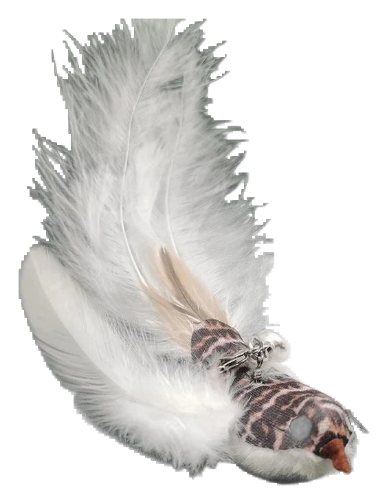 Bird feather wand