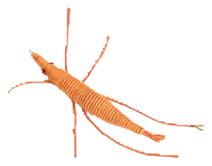 Woolen catnip prawn