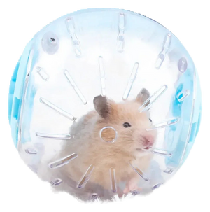 Hamster jogging ball