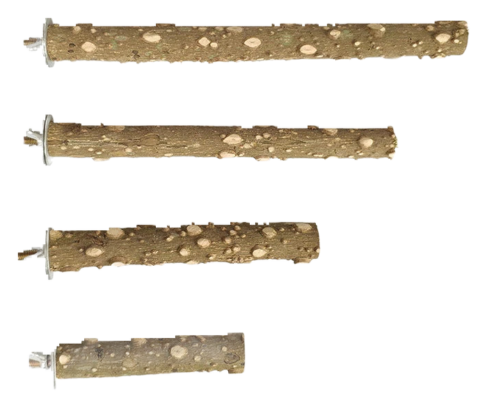 Raw wood branch perch