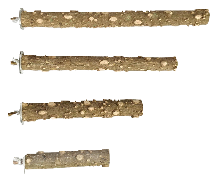Raw wood branch perch