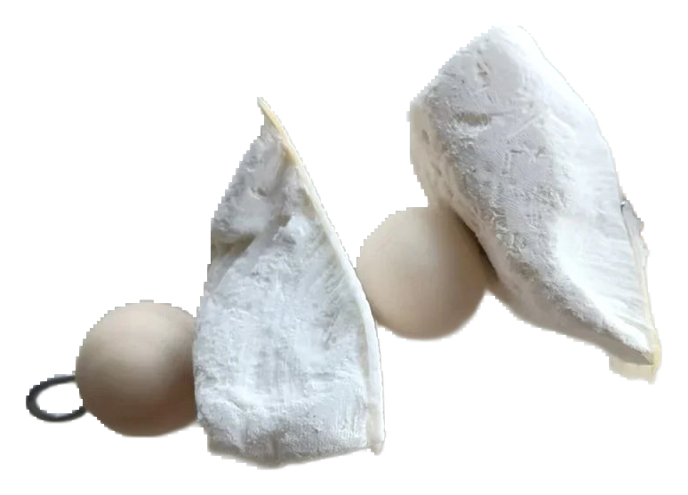 Cuttlefish bone