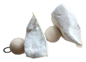Cuttlefish bone