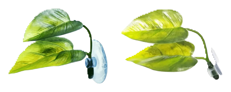 Betta leaf hammock