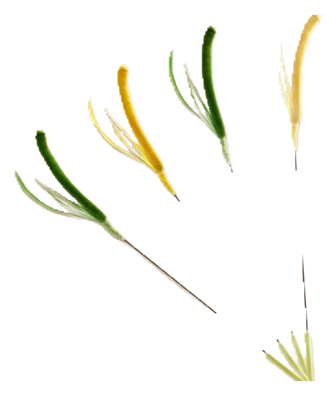Grass teaser pole
