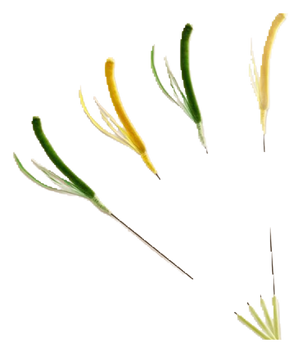 Grass teaser pole