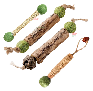 Silvervine dental stick