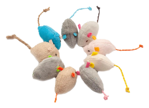 Catnip rattle mice