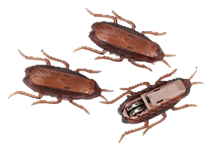 Wind-up cockroach