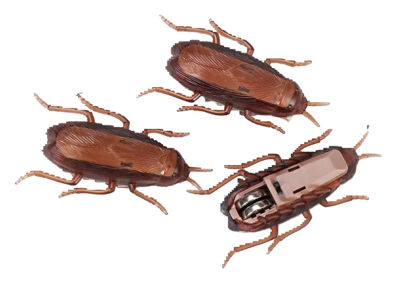 Wind-up cockroach